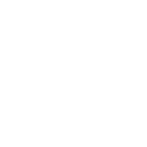 Einkaufswagen